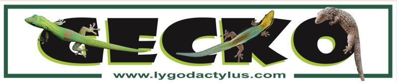 (c) Lygodactylus.com